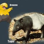 drowzee tapir