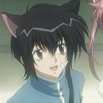 ritsuka aoyagi - boy anime cat