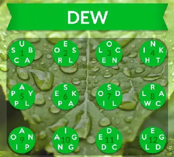 wordscapes dew answers