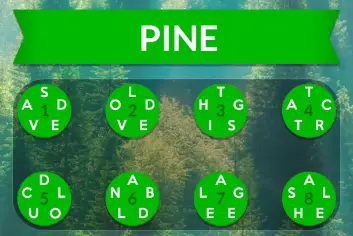 wordscapes pine answers