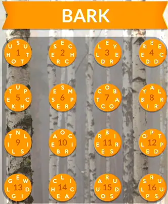 Wordscapes Bark Answers