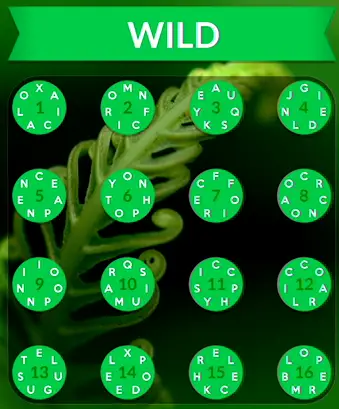 Wordscapes Wild Answers