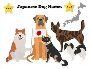 Unique Japanese Dog Names List A Dog In The Fog