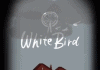The White Bird Carnival Walkthrough Guide the white bird carnival walkthrough